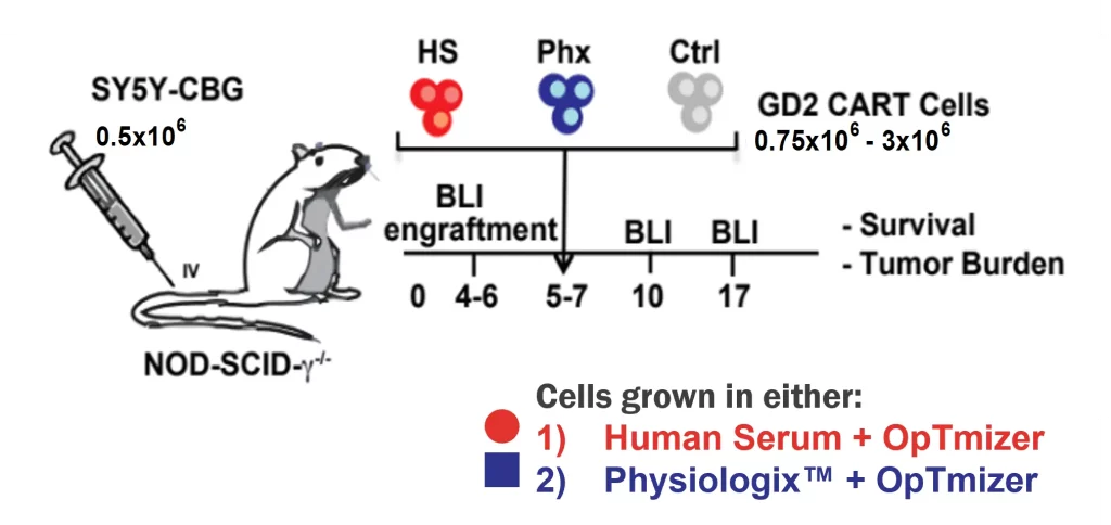 UPenn, Physiologix, Cytoxicity, Optimal Cellular Performance