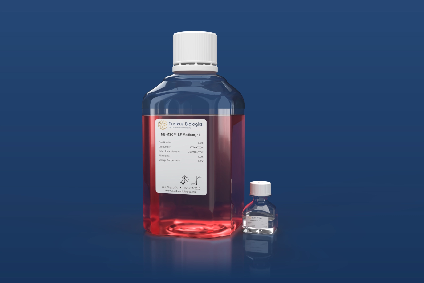 NB-MSC basal medium and coating solution.